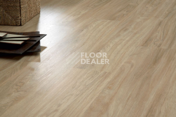 IVC Primero (Сlick) IVC Primero  24234N фото 4 | FLOORDEALER